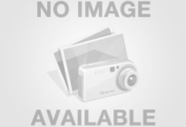 Chính sách hoạt động